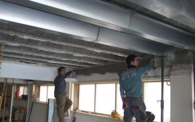 Què és la aluminosis i com es detecta?