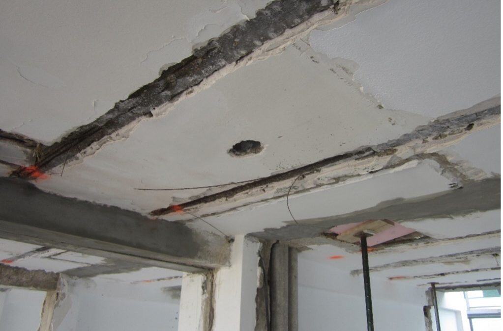 solució eficaç contra la aluminosis