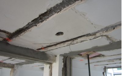 solució eficaç contra la aluminosis